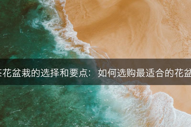 茶花盆栽的选择和要点：如何选购最适合的花盆？(图1)