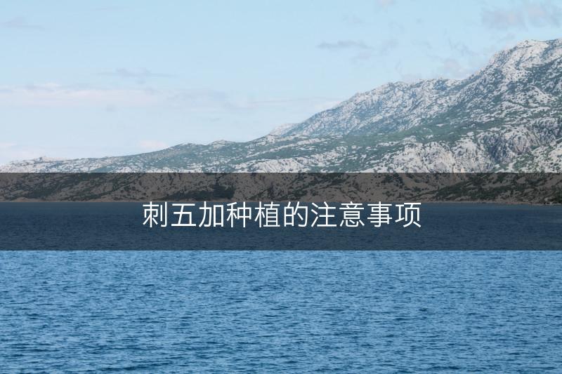 刺五加种植的注意事项(图1)