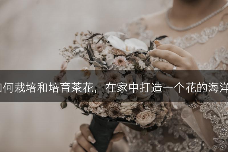 如何栽培和培育茶花，在家中打造一个花的海洋？(图1)