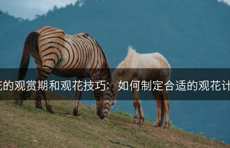茶花的观赏期和观花技巧：如何制定合适的观花计划？(图1)