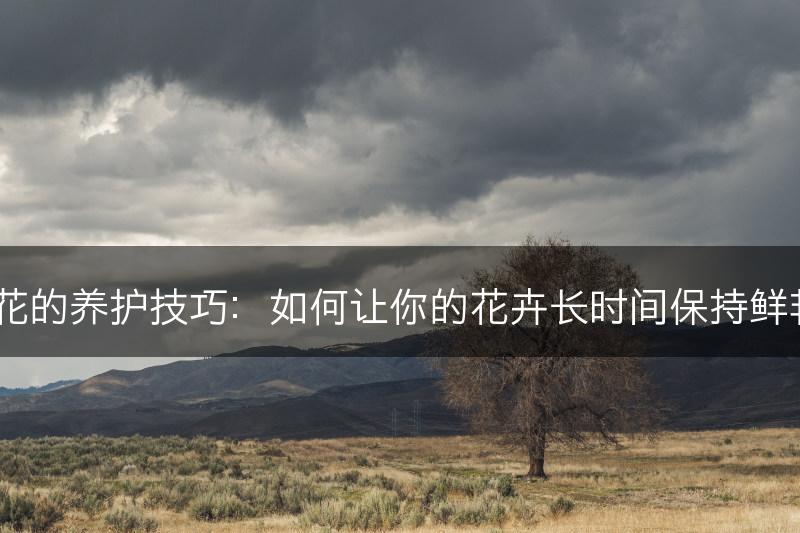 茶花的养护技巧：如何让你的花卉长时间保持鲜艳？(图1)