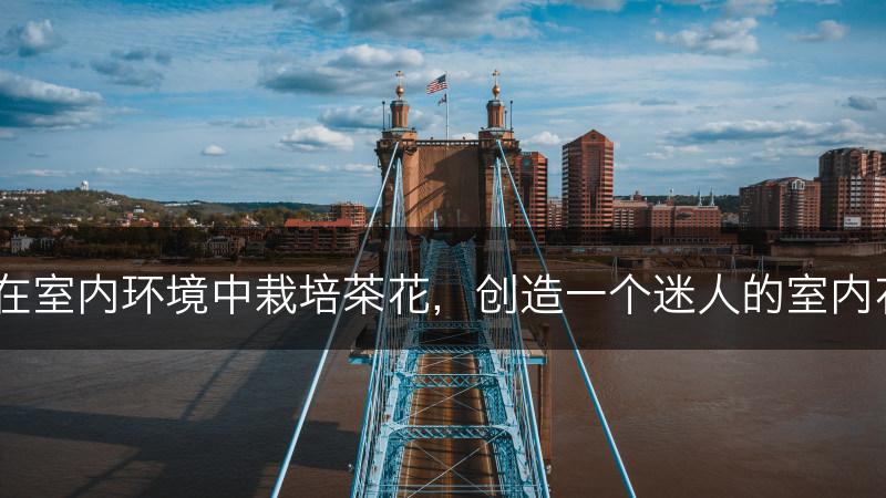 如何在室内环境中栽培茶花，创造一个迷人的室内花园？(图1)