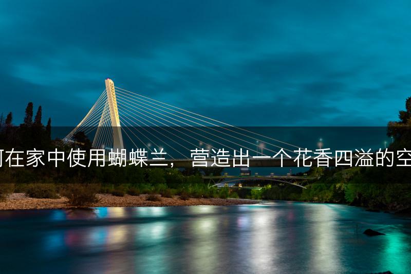 如何在家中使用蝴蝶兰，营造出一个花香四溢的空间？(图1)