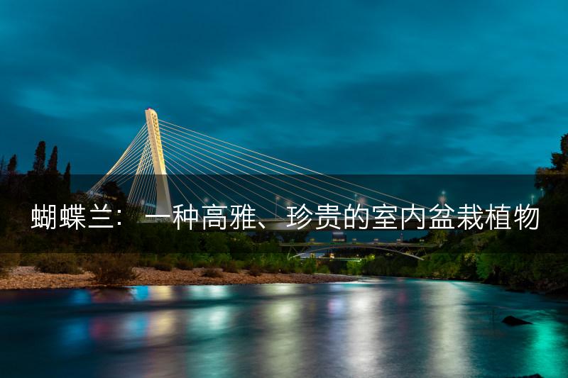 蝴蝶兰：一种高雅、珍贵的室内盆栽植物(图1)