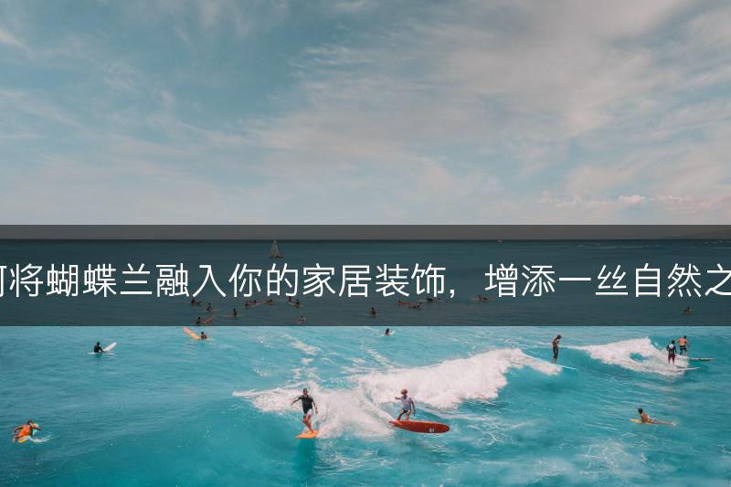 如何将蝴蝶兰融入你的家居装饰，增添一丝自然之美？(图1)