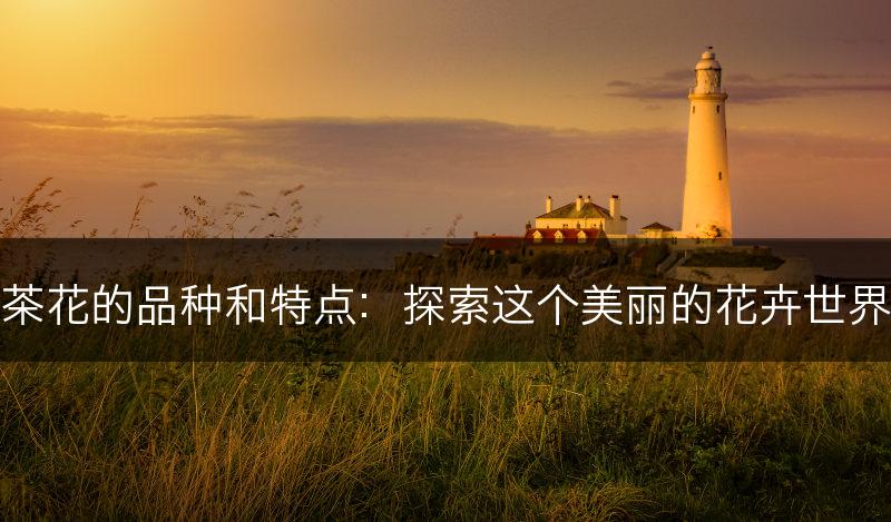 茶花的品种和特点：探索这个美丽的花卉世界(图1)