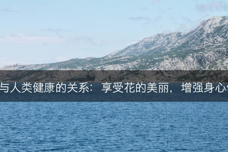 茶花与人类健康的关系：享受花的美丽，增强身心健康！(图1)