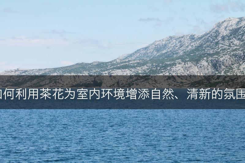 如何利用茶花为室内环境增添自然、清新的氛围？(图1)