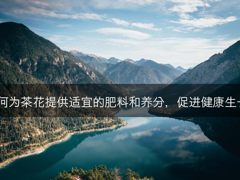 如何为茶花提供适宜的肥料和养分，促进健康生长？(图1)