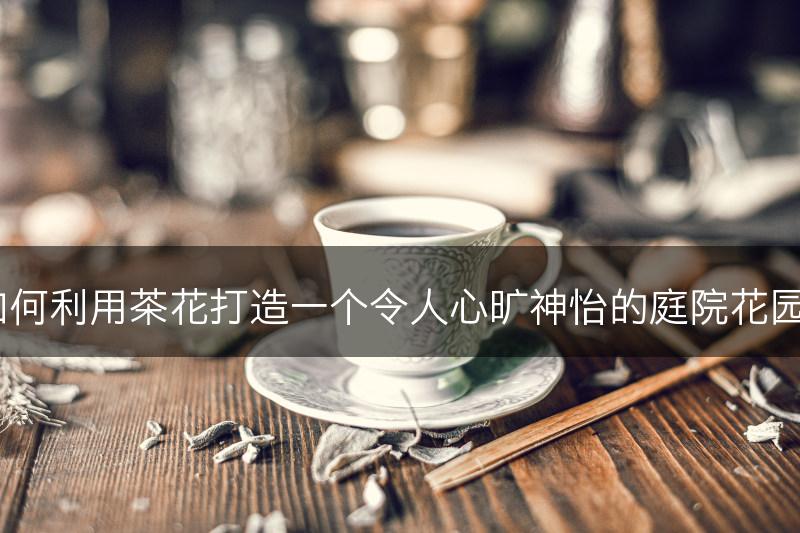如何利用茶花打造一个令人心旷神怡的庭院花园？(图1)