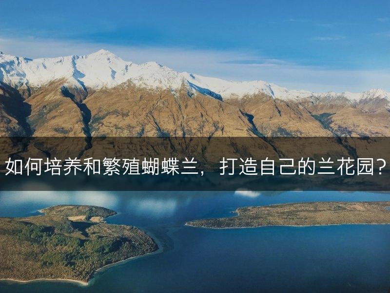 如何培养和繁殖蝴蝶兰，打造自己的兰花园？(图1)