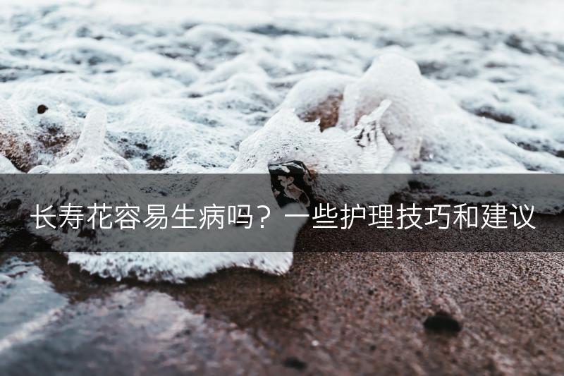 长寿花容易生病吗？一些护理技巧和建议(图1)