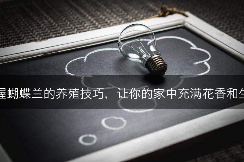 掌握蝴蝶兰的养殖技巧，让你的家中充满花香和生机(图1)