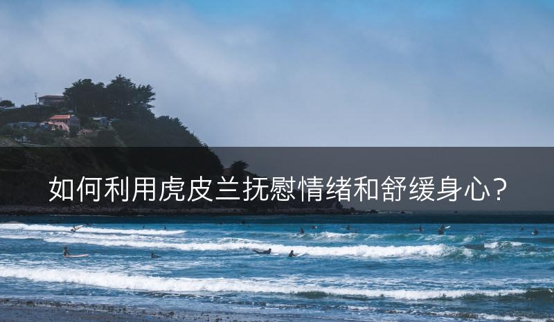 如何利用虎皮兰抚慰情绪和舒缓身心？(图1)