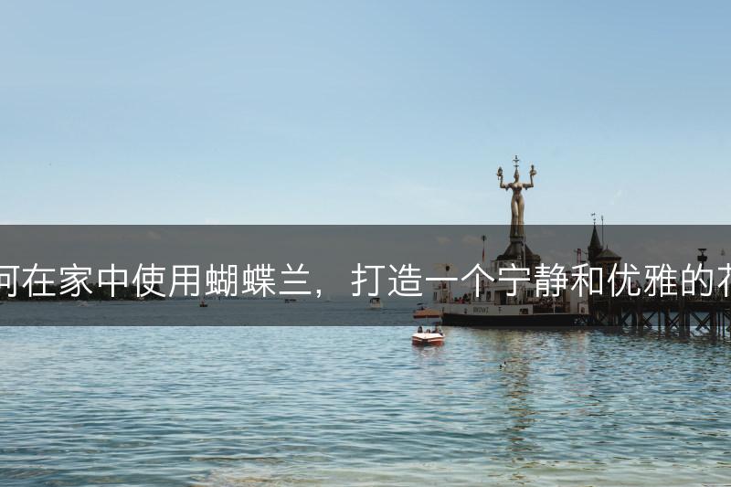 如何在家中使用蝴蝶兰，打造一个宁静和优雅的花园(图1)