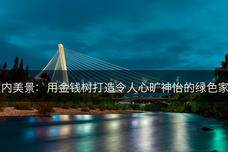 室内美景：用金钱树打造令人心旷神怡的绿色家园(图1)