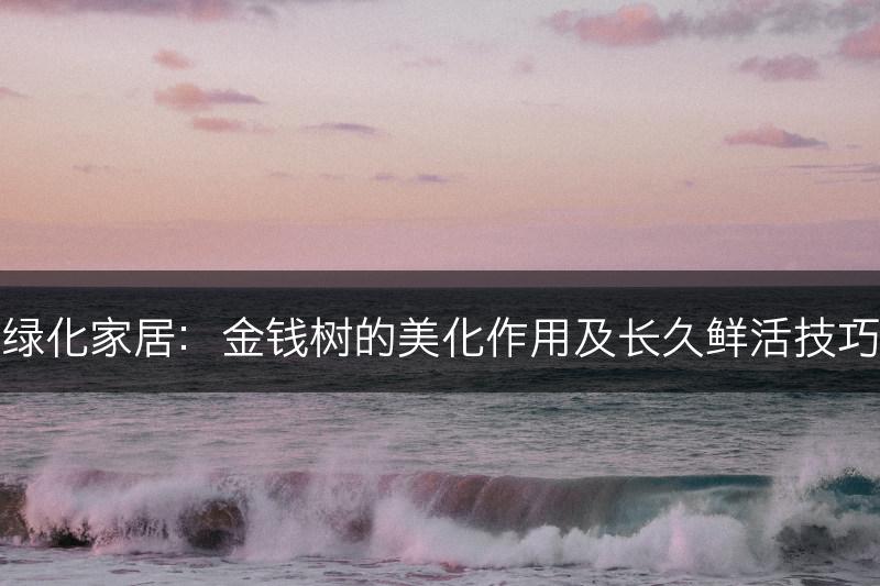 绿化家居：金钱树的美化作用及长久鲜活技巧(图1)