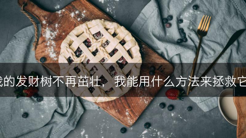 我的发财树不再茁壮，我能用什么方法来拯救它？(图1)