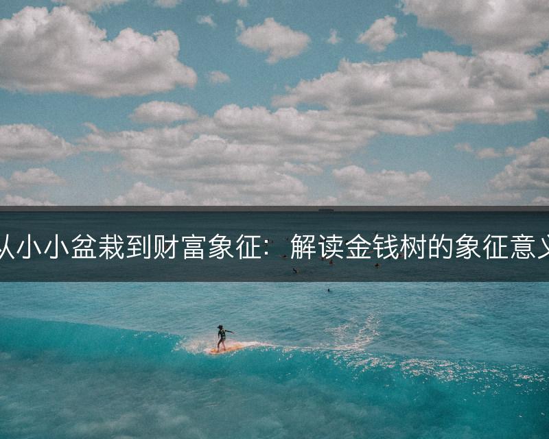 从小小盆栽到财富象征：解读金钱树的象征意义(图1)