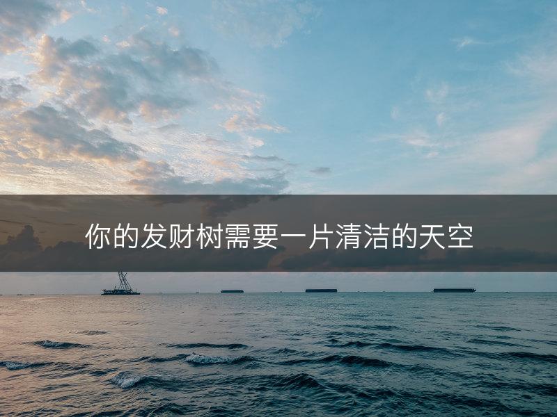你的发财树需要一片清洁的天空(图1)