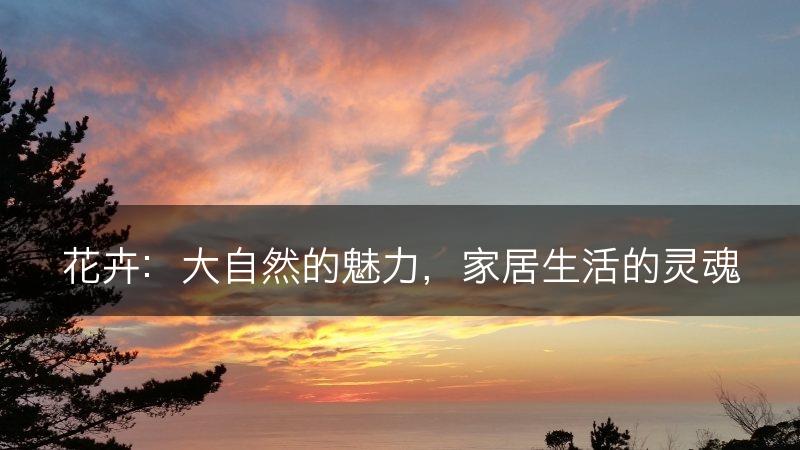 花卉：大自然的魅力，家居生活的灵魂(图1)