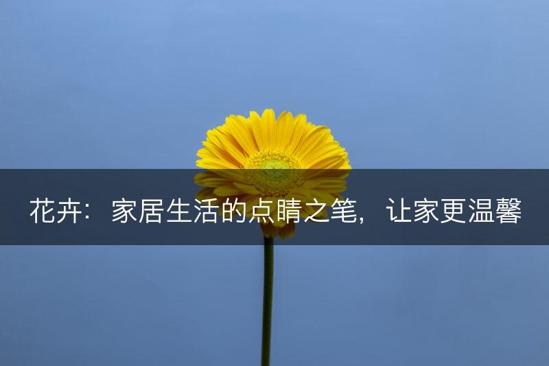 花卉：家居生活的点睛之笔，让家更温馨(图1)
