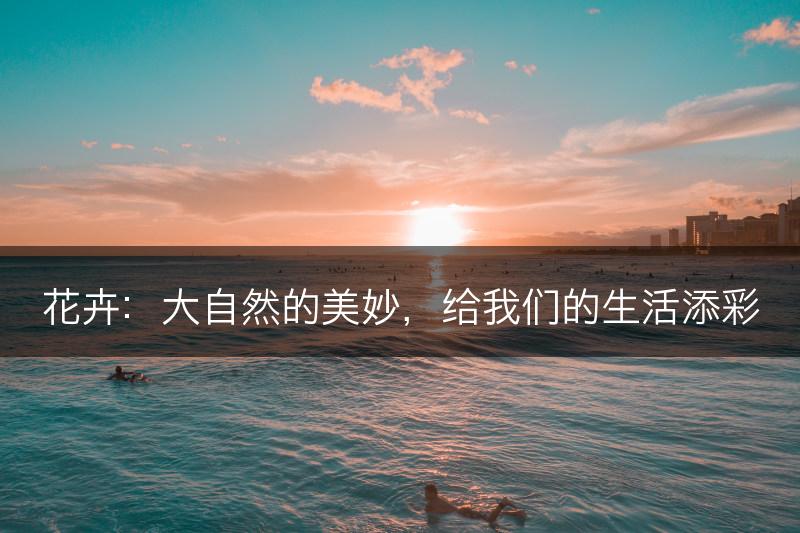 花卉：大自然的美妙，给我们的生活添彩(图1)