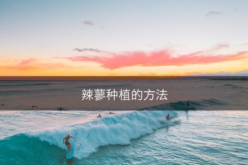 辣蓼种植的方法(图1)