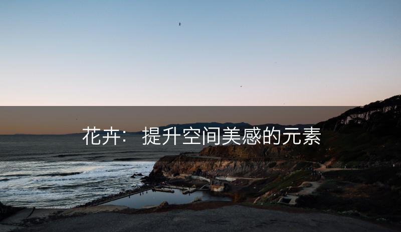 花卉：提升空间美感的元素(图1)