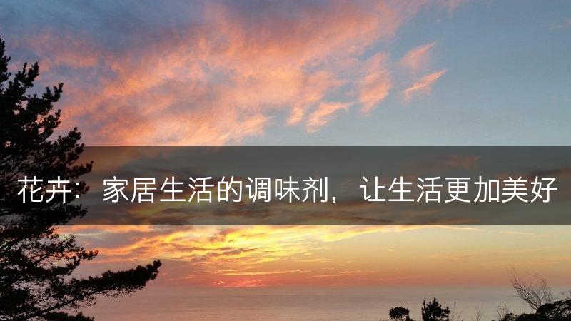 花卉：家居生活的调味剂，让生活更加美好(图1)