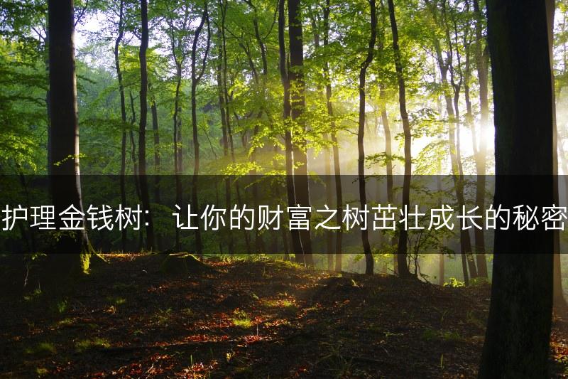 护理金钱树：让你的财富之树茁壮成长的秘密(图1)