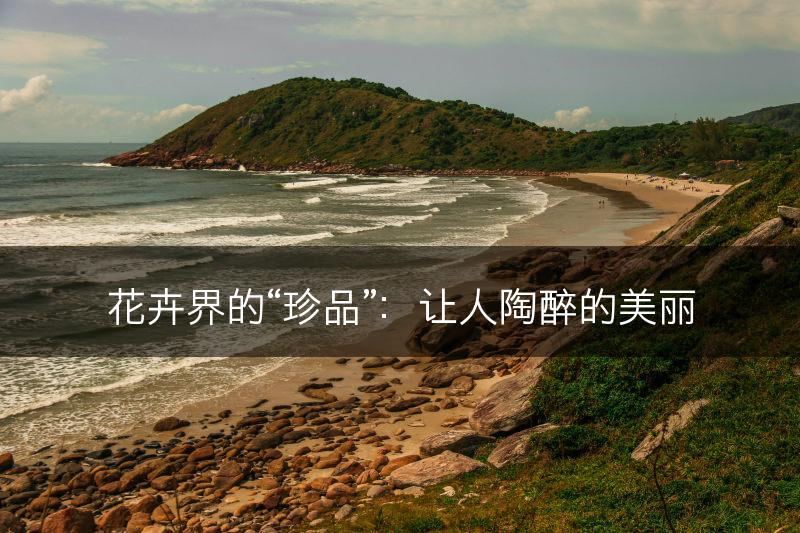 花卉界的“珍品”：让人陶醉的美丽(图1)