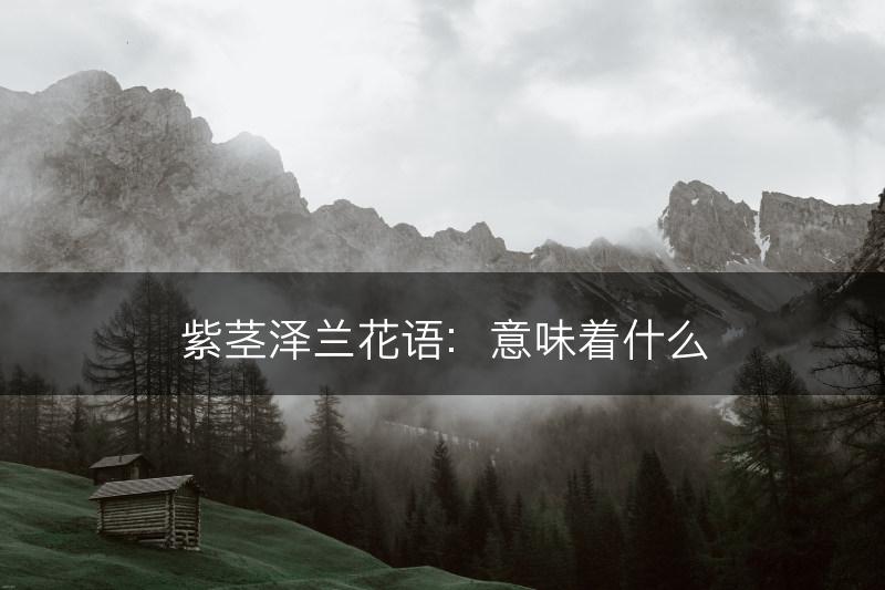 紫茎泽兰花语：意味着什么(图1)