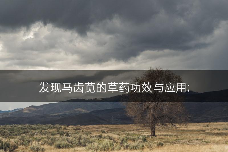 发现马齿苋的草药功效与应用；(图1)