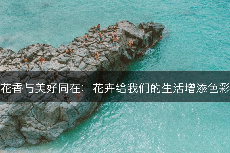 花香与美好同在：花卉给我们的生活增添色彩(图1)