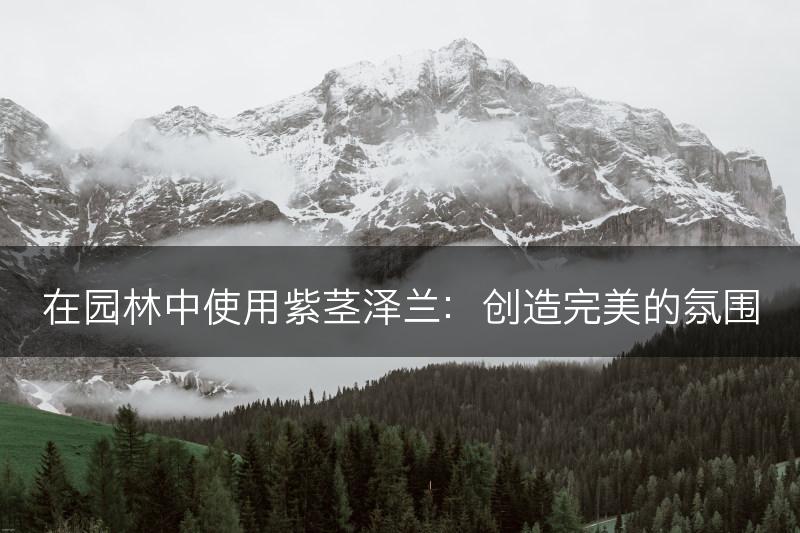 在园林中使用紫茎泽兰：创造完美的氛围(图1)