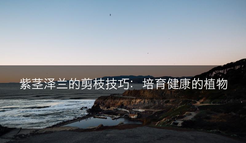 紫茎泽兰的剪枝技巧：培育健康的植物(图1)