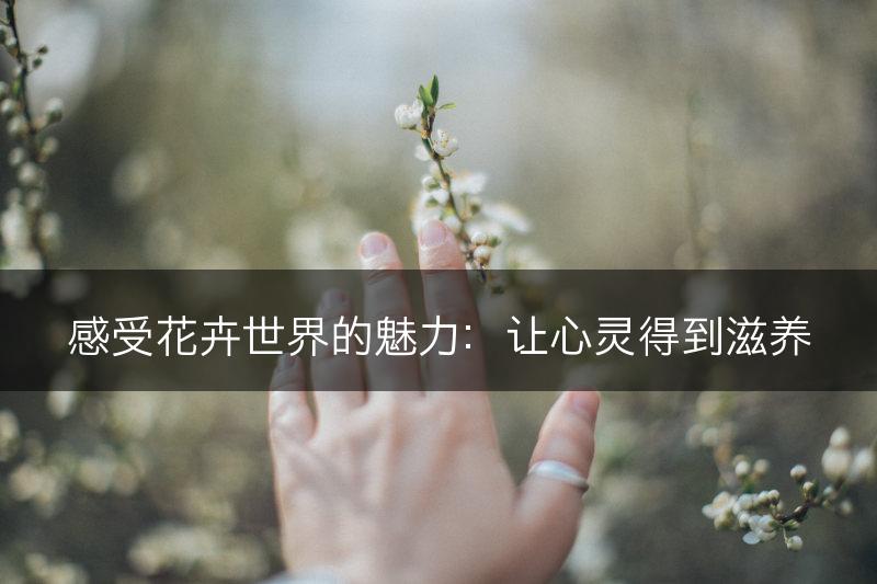感受花卉世界的魅力：让心灵得到滋养(图1)
