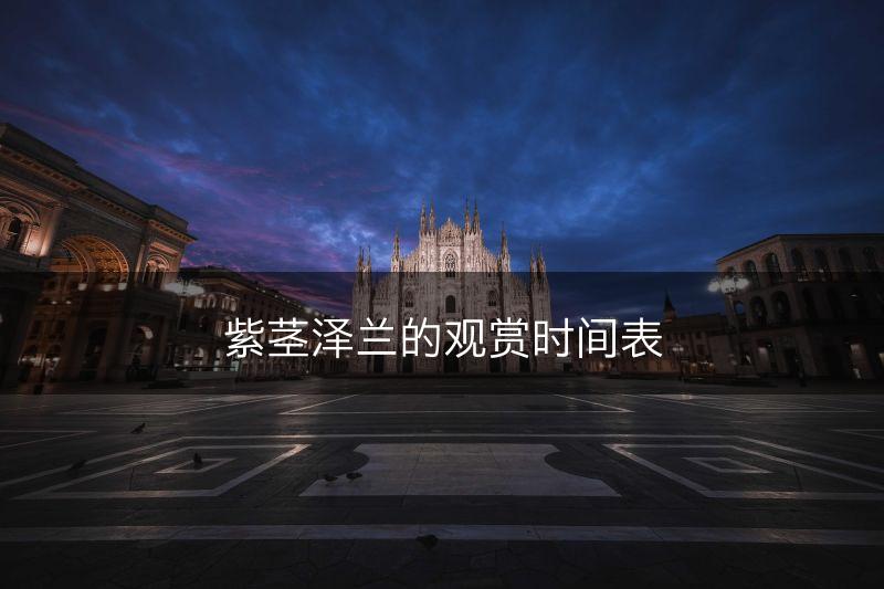 紫茎泽兰的观赏时间表(图1)