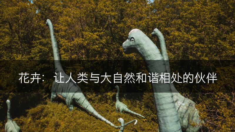 花卉：让人类与大自然和谐相处的伙伴(图1)