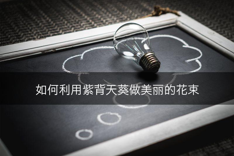 如何利用紫背天葵做美丽的花束(图1)