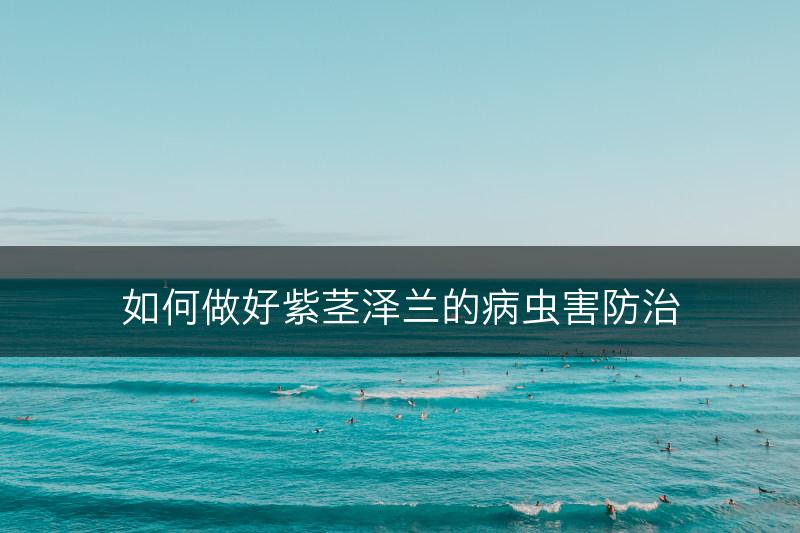 如何做好紫茎泽兰的病虫害防治(图1)