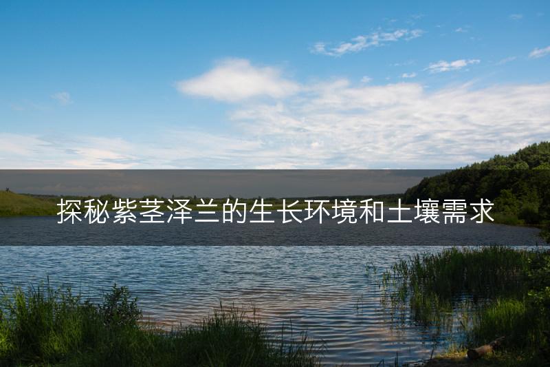 探秘紫茎泽兰的生长环境和土壤需求(图1)