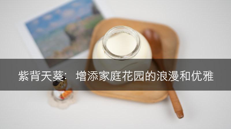 紫背天葵：增添家庭花园的浪漫和优雅(图1)