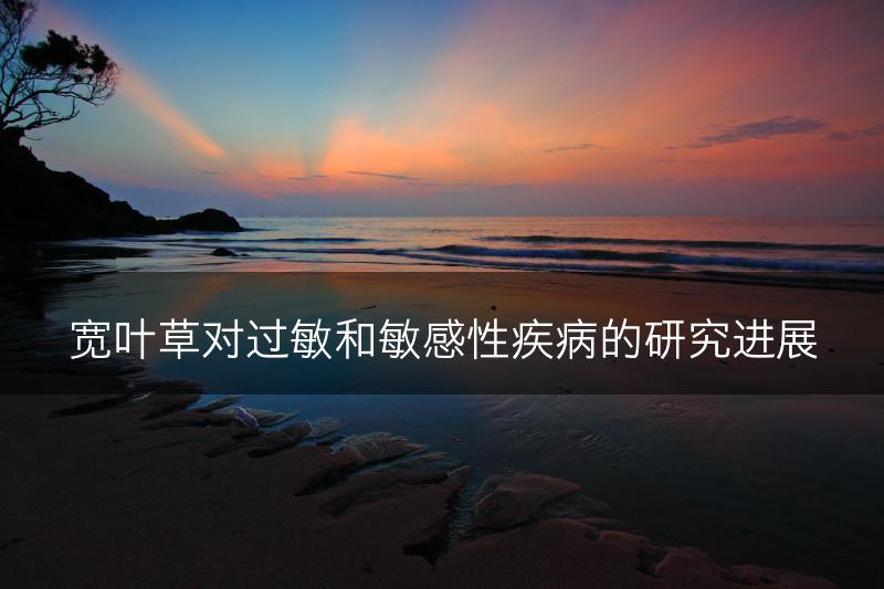 宽叶草对过敏和敏感性疾病的研究进展(图1)