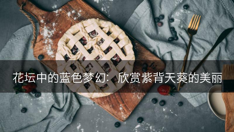 花坛中的蓝色梦幻：欣赏紫背天葵的美丽(图1)