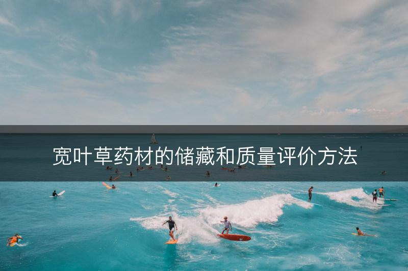 宽叶草药材的储藏和质量评价方法(图1)