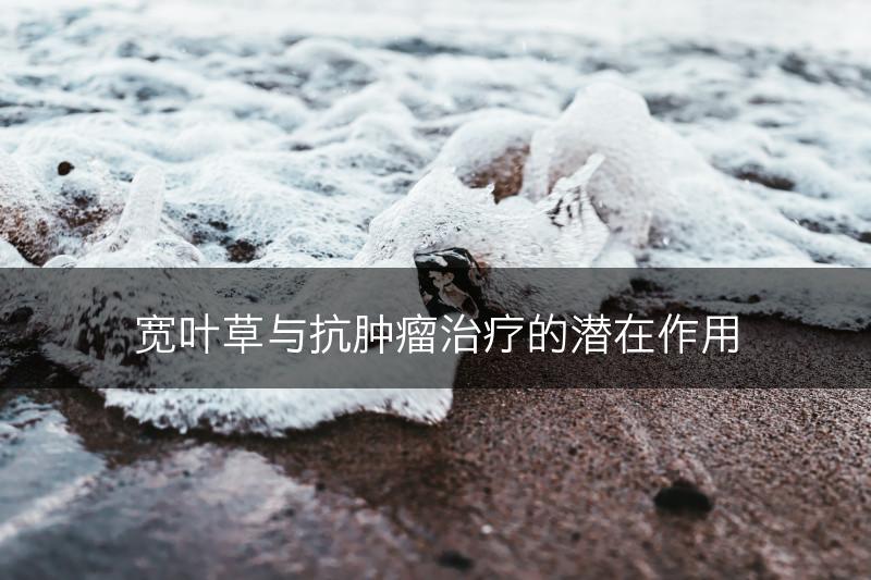 宽叶草与抗肿瘤治疗的潜在作用(图1)
