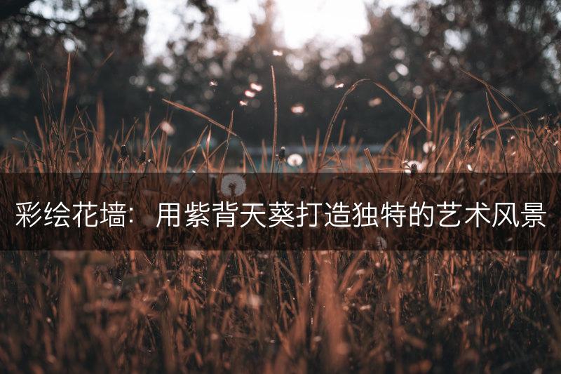 彩绘花墙：用紫背天葵打造独特的艺术风景(图1)