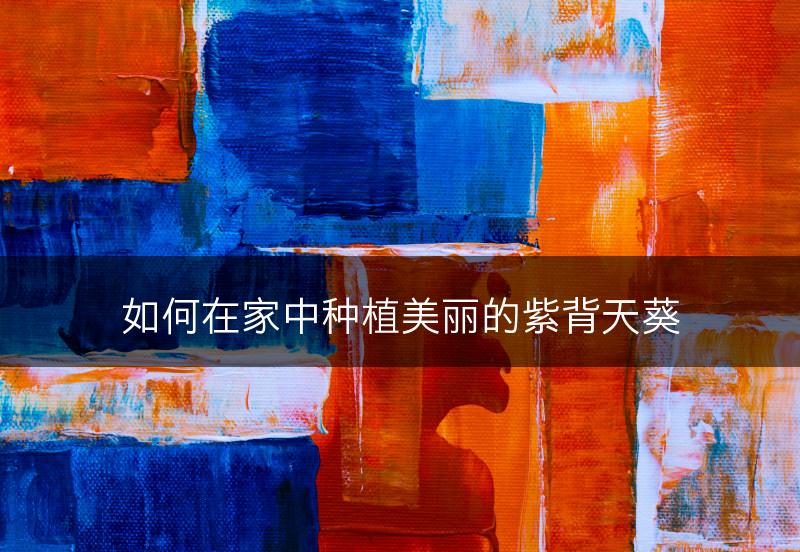 如何在家中种植美丽的紫背天葵(图1)